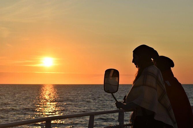 Magical Whales in the Midnight Sun | from Reykjavik - Key things to know before you book Elding’s Midnight Sun cruise