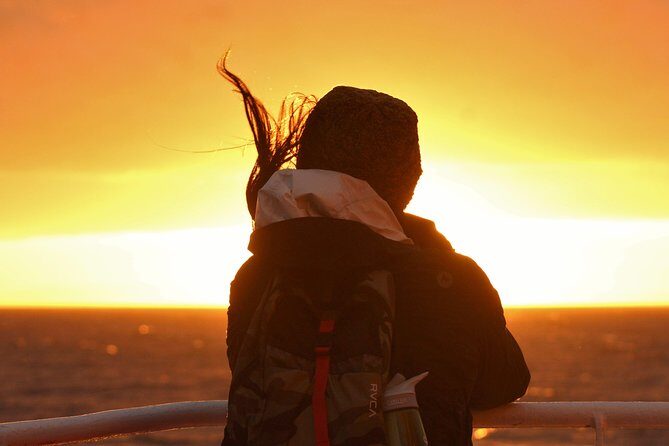 Magical Whales in the Midnight Sun | from Reykjavik - Getting on the water near Reykjavík Old Harbour (start, end, and what the 3 hours really means)