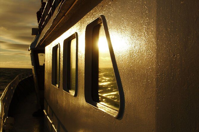 Magical Whales in the Midnight Sun | from Reykjavik - Onboard comfort that helps when it gets rough