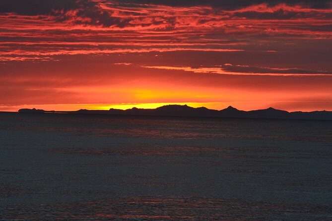 Magical Whales in the Midnight Sun | from Reykjavik - Deck time vs indoor time: how to handle the weather without missing the action