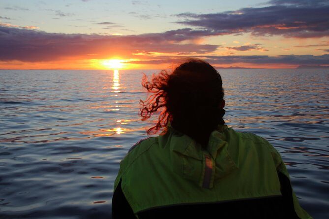 Midnight Sun Whale Watching from Reykjavik - Midnight Sun Whale Watching from Reykjavik: what makes it special