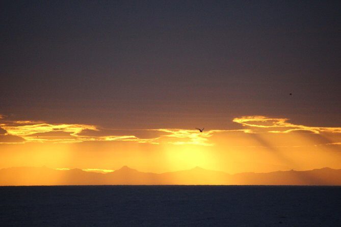 Midnight Sun Whale Watching from Reykjavik - On board comfort: thermal overalls, heated seating, and sea-sickness support