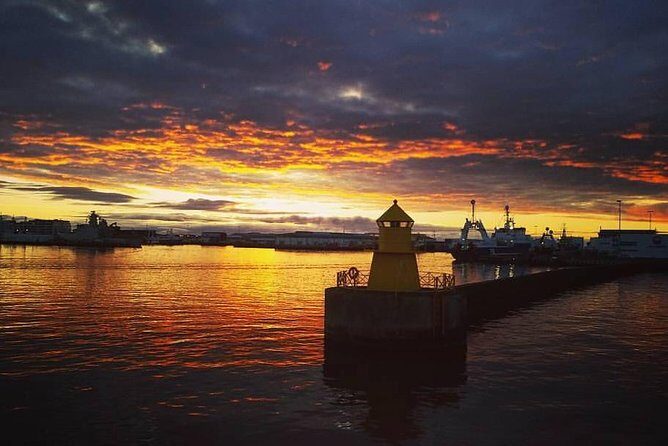 Midnight Sun Whale Watching from Reykjavik - Faxaflói Bay search: what you might spot and how the guide helps