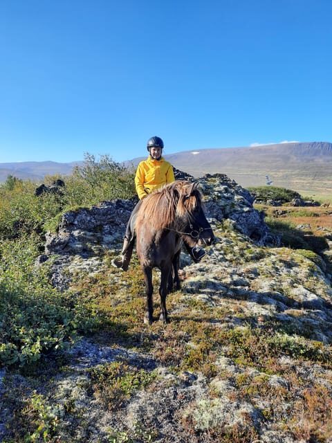 North Iceland: Horseback Riding Tour - Crossing a Small Lake and Crisscrossing Volcanic Rocks (Without Losing Your Focus)