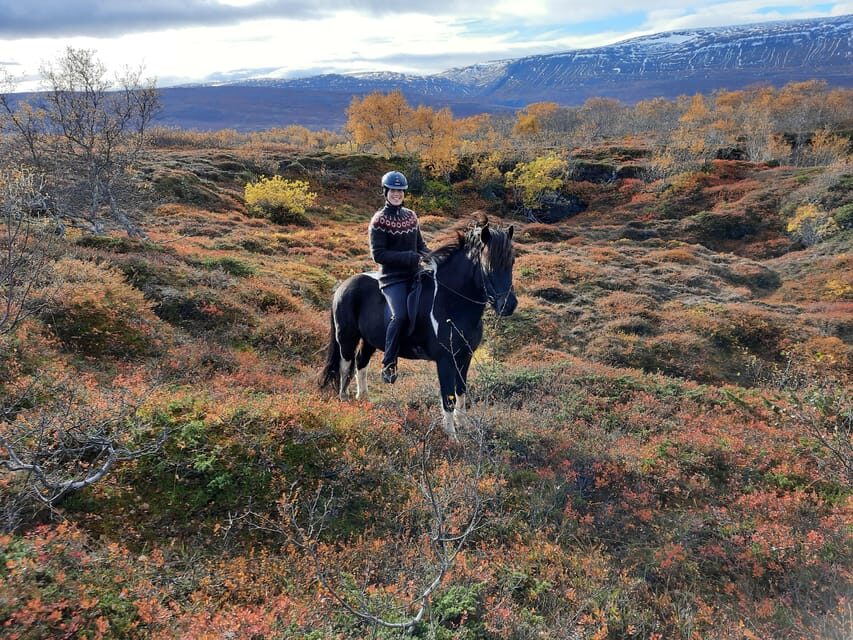 North Iceland: Horseback Riding Tour - The Black Sand Plain Moment: Why This Part Sticks With You