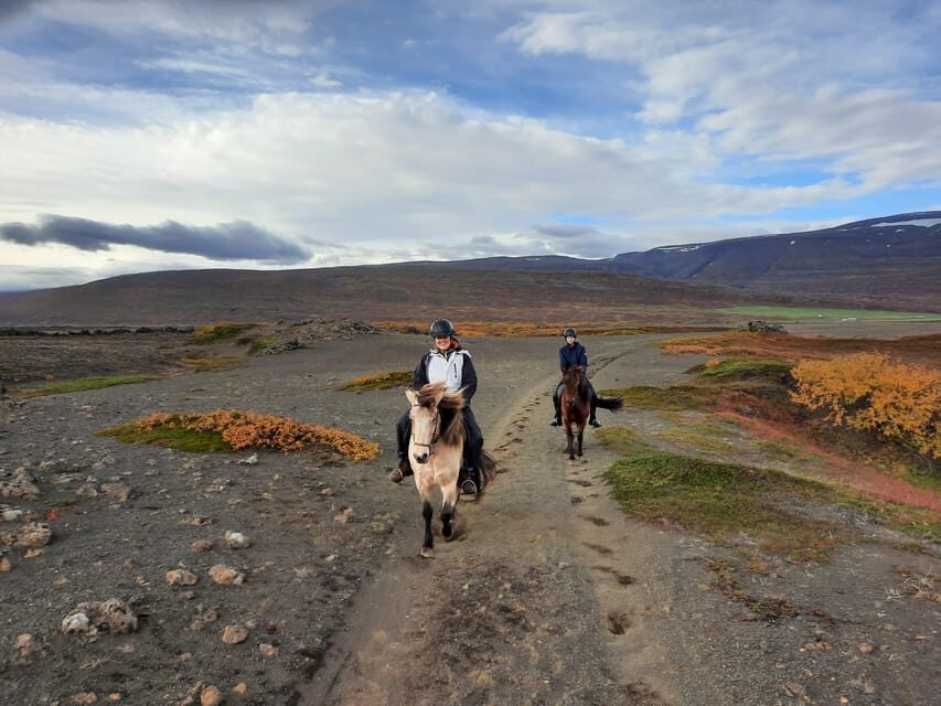 North Iceland: Horseback Riding Tour - Who This Tour Suits Best (And Who Should Skip It)
