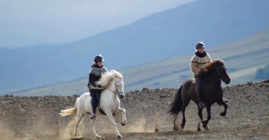 North Iceland: Horseback Riding Tour - Meeting the Icelandic Horse and Getting Ready for the Tölt
