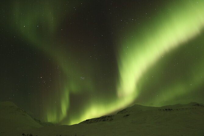 Northern Lights 4x4 Jeep/van Tour from Akureyri - Waiting for the aurora: cocoa, doughnut, and active guiding