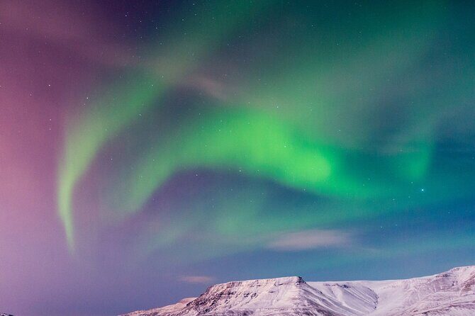 Northern Lights Boat Cruise from Reykjavik - Staying Comfortable: warm deck, restroom, Wi‑Fi, and the onboard café