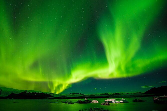 Northern Lights Boat Cruise from Reykjavik - Wildlife Spotting Isn’t a Side Quest