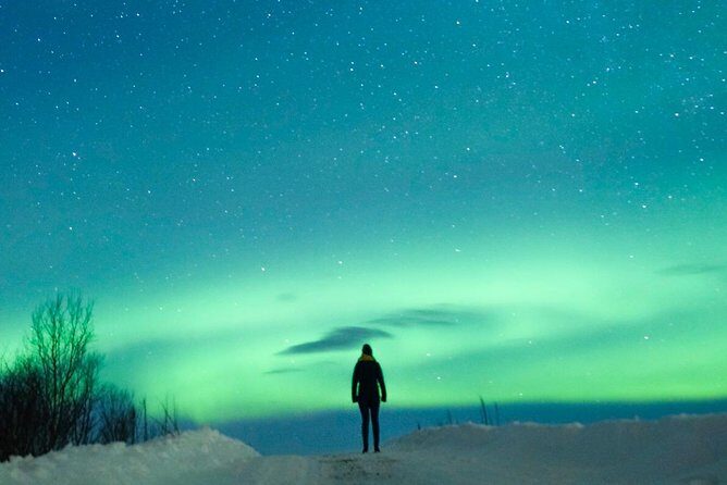 Northern Lights Bus Tour from Reykjavik with Hot Chocolate - Hot Chocolate: The Cozy Included Bonus (and Why It Helps)