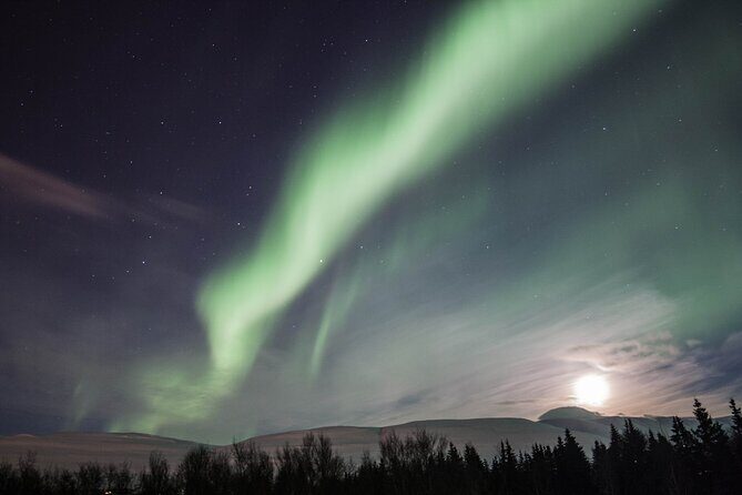 Northern Lights Classic MiniBus Tour from Akureyri - Key things I’d pay attention to