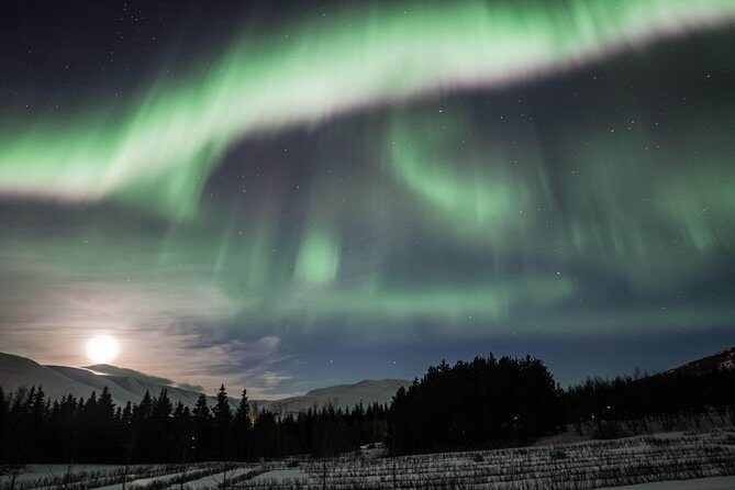 Northern Lights Classic MiniBus Tour from Akureyri - Meeting at 9:30 pm: timing, the mini-bus vibe, and what to bring