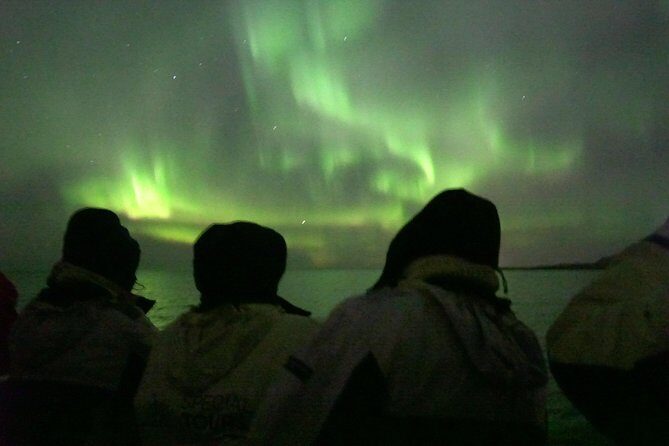 Northern Lights Cruise from Reykjavik Including Photos - If the lights are missing: free rebook and backup options