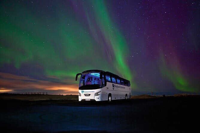 Northern Lights Guided Bus Tour from Reykjavik - Comfort and group-size tradeoffs on a big Reykjavik bus