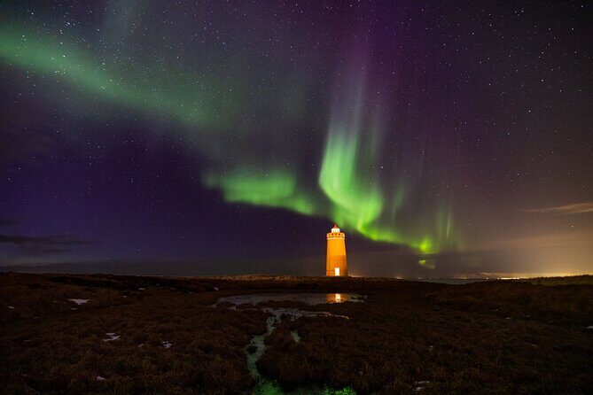 Northern Lights Private Tour-Epic Adventure - Value and Logistics for a 4-Hour Private Night