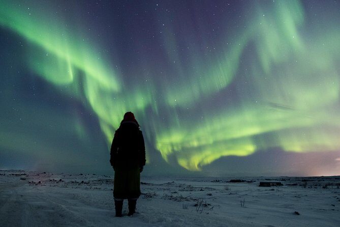 Northern Lights Small Group Tour from Reykjavik with Free Photos - Price and what $126 really covers