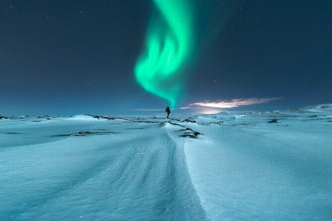 Northern Lights Small-Group Tour with Free Photos & Hot Chocolate - Who Should Book This Northern Lights Tour—and Who Might Want a Different Style