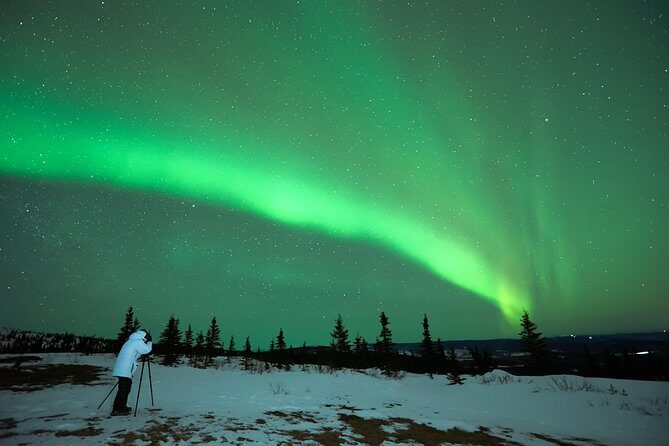 Northern Lights Tour from Reykjavik with Lifetime Guarantee - Key Things to Know Before You Go