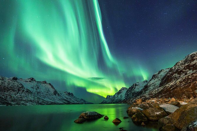 Northern Lights Tour from Reykjavik with Lifetime Guarantee - Reykjavik Northern Lights by Coach: How the 3 Hours Actually Feel