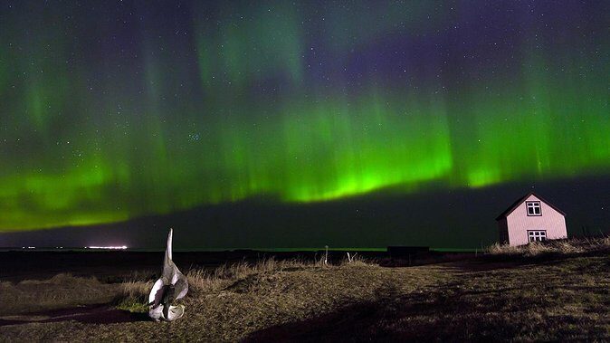 Northern Lights Tour from Reykjavik with Lifetime Guarantee - The Coach Ride: 10 Languages, Power at Every Seat, and How Guidance Builds Your Odds