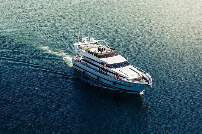 Northern Lights Yacht Cruise - Viðey Island and the Imagine Peace Tower at Night