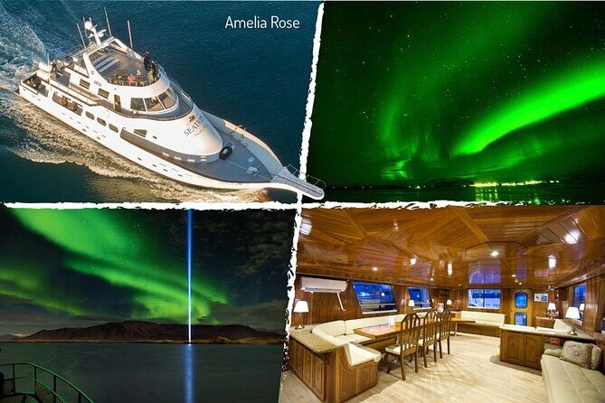 Northern Lights Yacht Cruise in Reykjavik - Price vs value: what $94 buys you in Iceland’s aurora reality