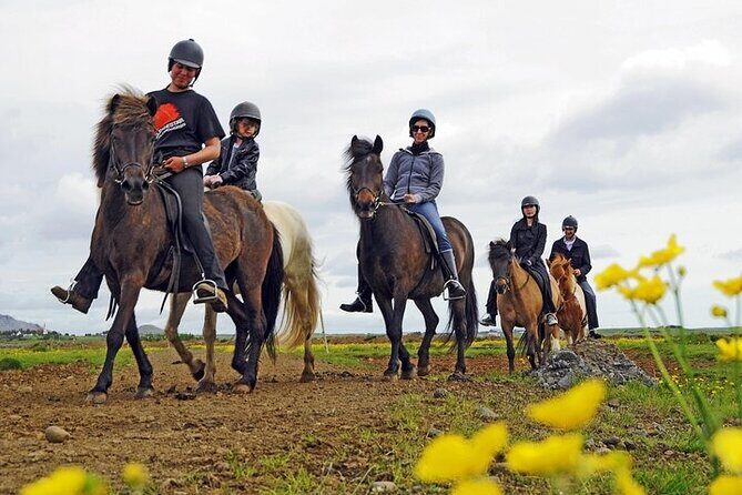 One-Hour Horseback Riding Tour in the Icelandic Countryside - Key things to know before you go