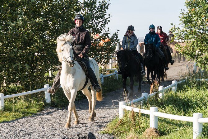 One-Hour Horseback Riding Tour in the Icelandic Countryside - A short ride that fits South Iceland road trips