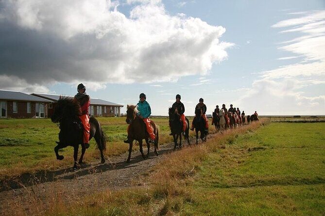 One-Hour Horseback Riding Tour in the Icelandic Countryside - Icelandic horses: why this ride feels different