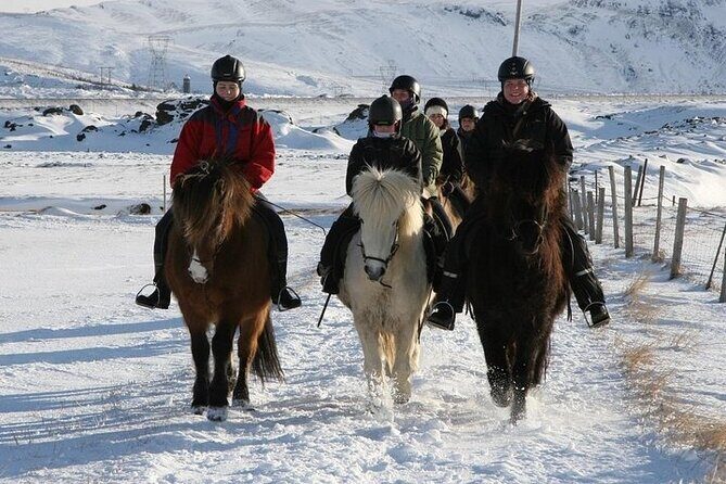 One-Hour Horseback Riding Tour in the Icelandic Countryside - Small groups, practical pace, and safety checks