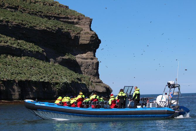 Original Big Whale Safari & Puffins Speedboat Tour from Húsavík - Whale watching in Skjálfandi Bay: what your guide is really doing