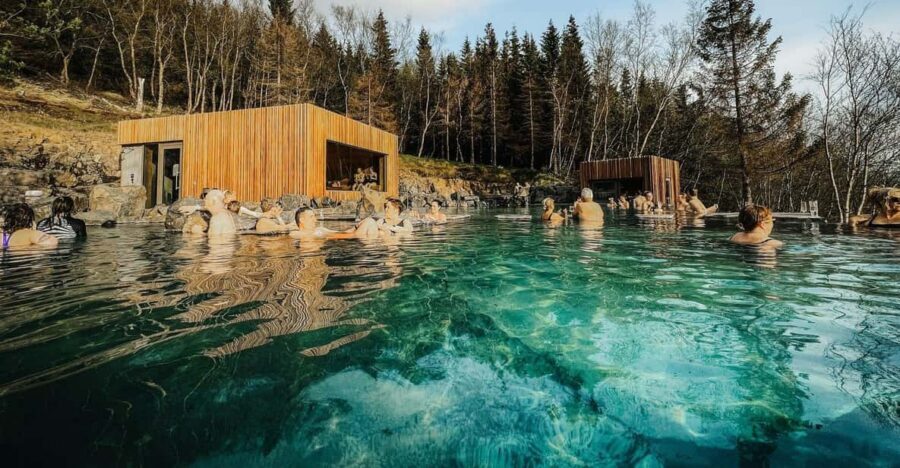 Port Akureyri: Godafoss Waterfall, Laufas & Forest Lagoon - Who this tour suits best (and who might prefer a different plan)