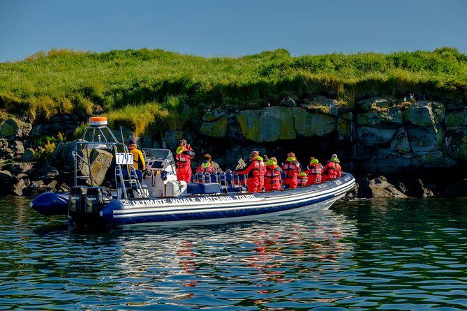 Premium Small-Group Puffin & Bird Watching tour from Reykjavík - Stop 2: Akurey and the islands—close, but respectful