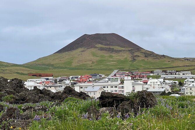 PRIVATE 2-Hours Tour - Westman Islands with a local in a BMW X5 - Rules inside the car (and why they’re not that big a deal)