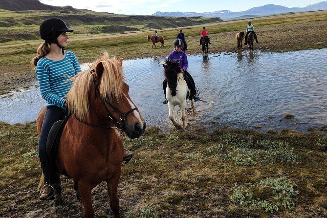 Private 3-Hour Horseback Riding Tour - Why this private 3-hour ride is a smart Akureyri-area choice