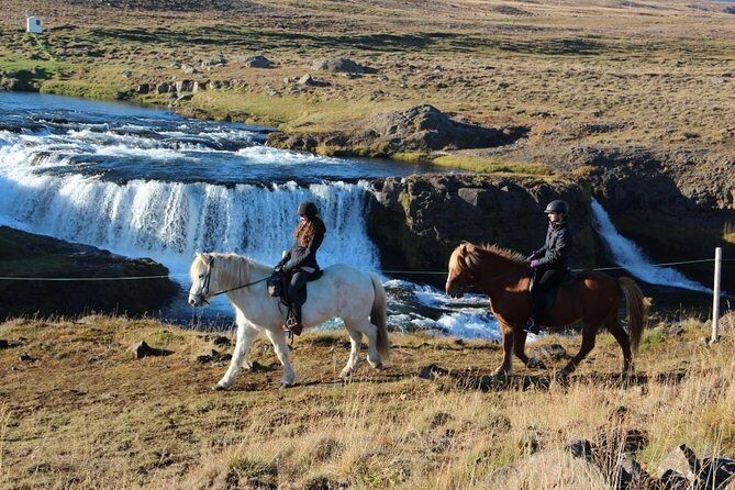 Private 3-Hour Horseback Riding Tour - The guide’s job: safety, horse coaching, and smart reroutes