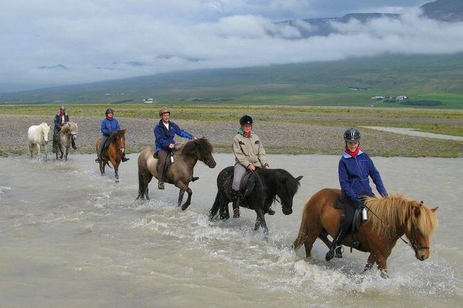 Private 3-Hour Horseback Riding Tour