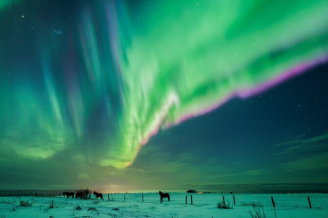 Private Aurora Hunt with Photos in Super Defender - Photo Support: Pro Results Plus Real Shooting Tips