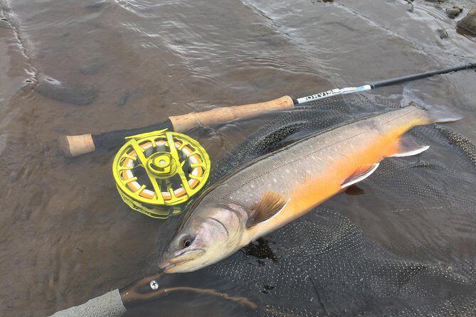 Private Fishing Tour from Reykjavik - Arctic Char and Brown Trout - Price and logistics: what $960 per person buys you