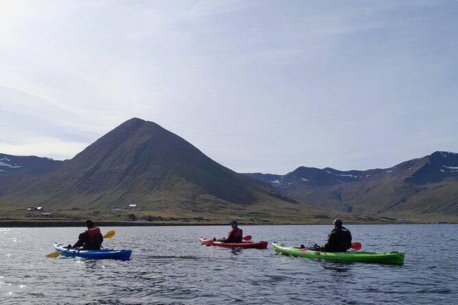 Private: Guided kayak tour in Siglufjörður / Siglufjordur. - Local Nature and Culture Stories From the Water