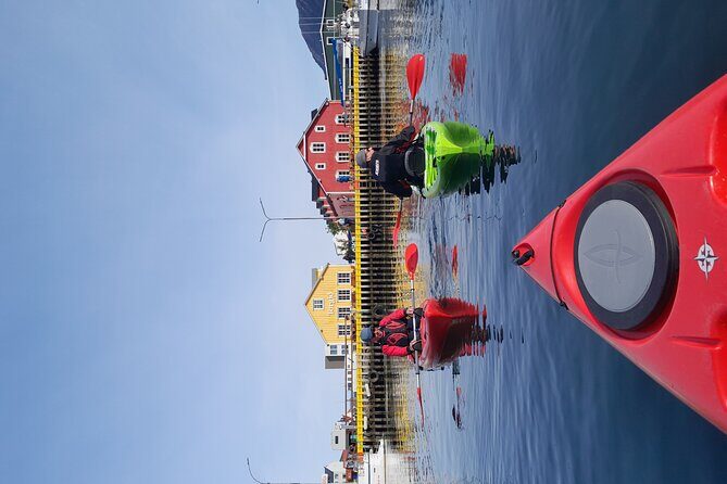 Private: Guided kayak tour in Siglufjörður / Siglufjordur. - Rainy Days, Cold Water, and Staying Comfortable