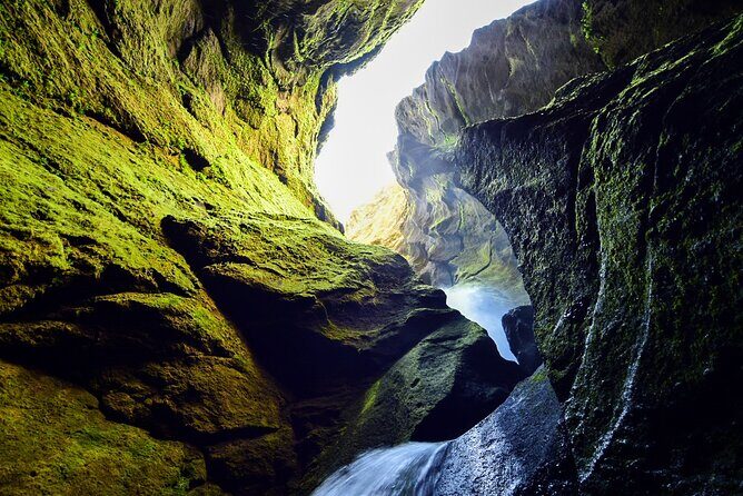 Private Half Day Iceland Tour with Guide and Vehicle - Price Check: $865 for Up to Five (Is It Good Value?)