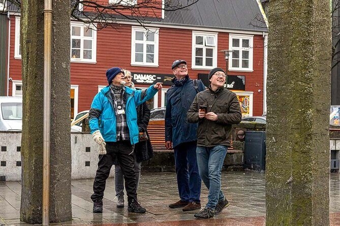 Private Icelandic Viking Age Walking Tour