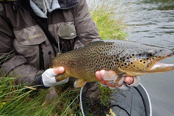 Private Lake and River Fishing Tour from Reykjavik - Fly Fishing Can Work, Especially for Beginners