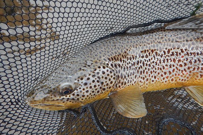 Private Lake and River Fishing Tour from Reykjavik - What’s Included vs. What You Need to Plan