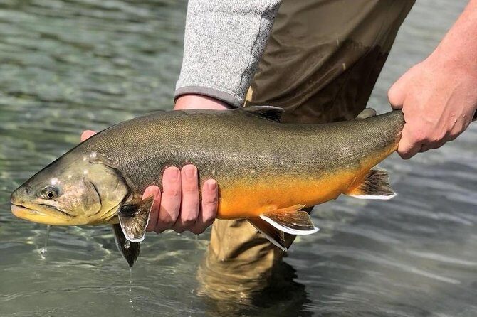 Private Lake and River Fishing Tour from Reykjavik - Thingvellir National Park: The Road Trip Bonus Before You Cast