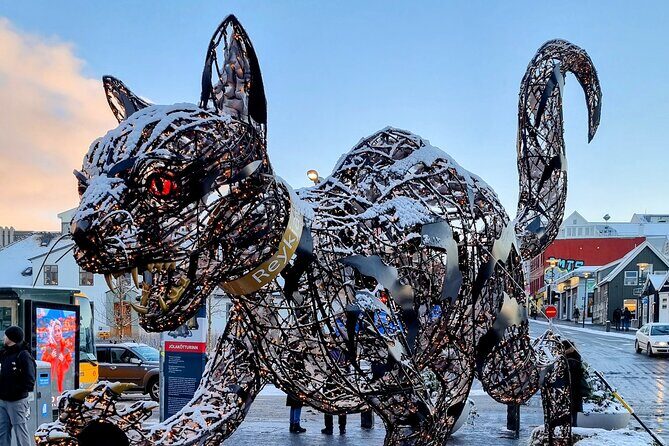 Private Reykjavik Cat Walking Tour - Who should book this cat tour (and who shouldn’t)