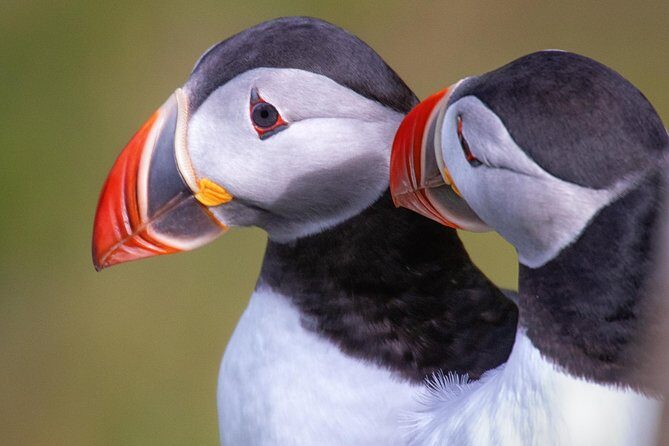 Private South Coast Tour with a Professional Photographer/Guide - Why this private South Coast photo tour makes sense