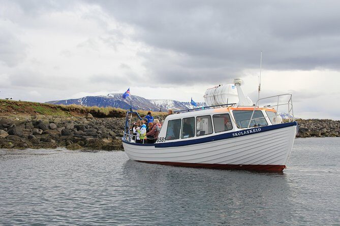 Puffin Cruise with Expert Tour Guide from Reykjavik - Why Akurey Island Is the Real Target in Reykjavik